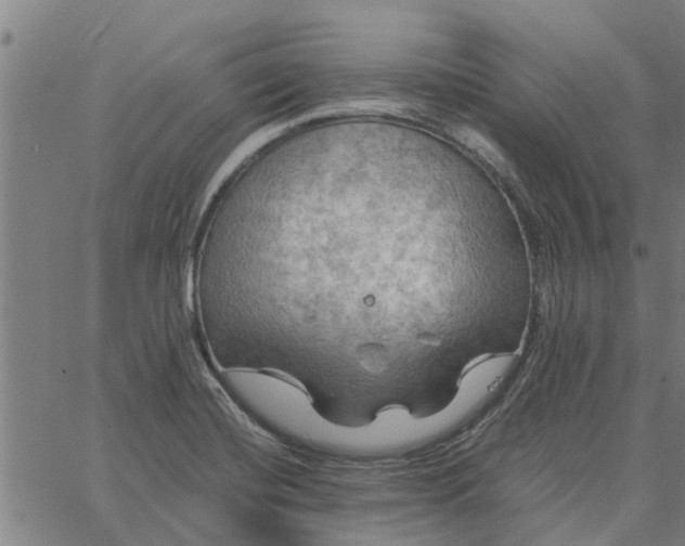 X0000065241420200603031727