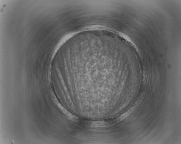 X0000065241421200603031727