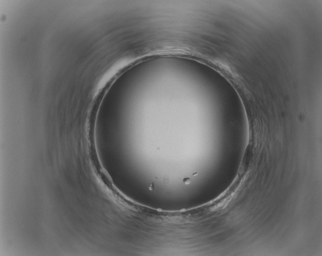 X0000065241422200603031727