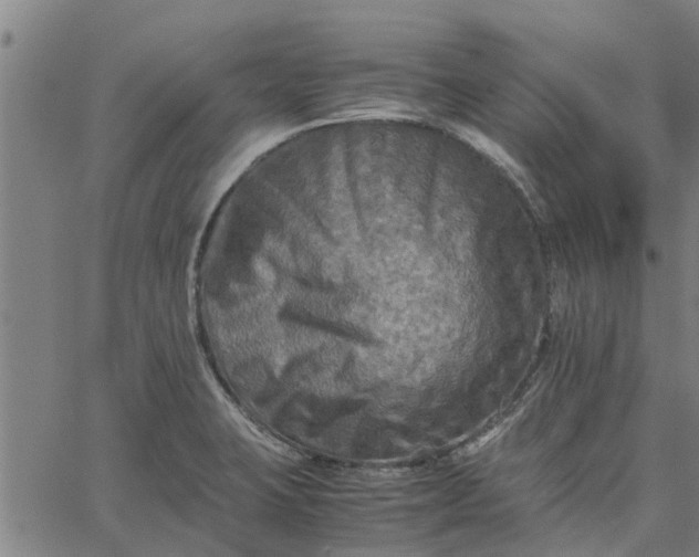 X0000065241423200603031727