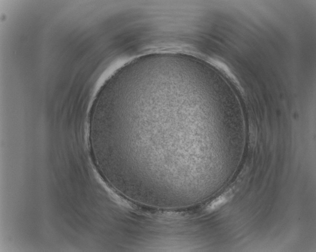 X0000065241424200603031727