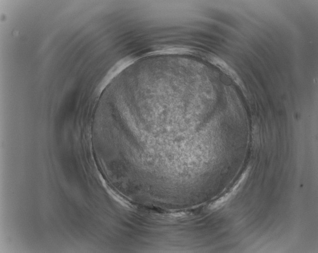 X0000065241425200603031727