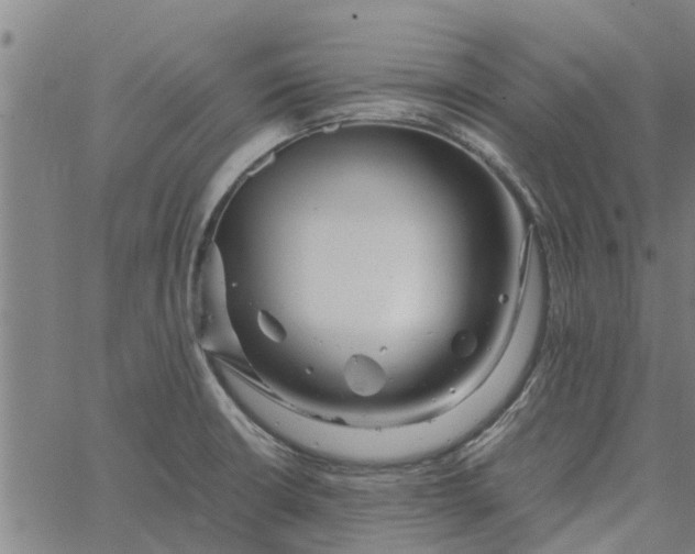 X0000065241426200603031727