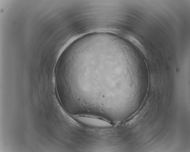 X0000065241428200603031727