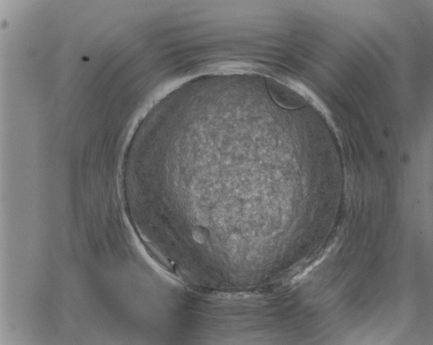 X0000065241429200603031727