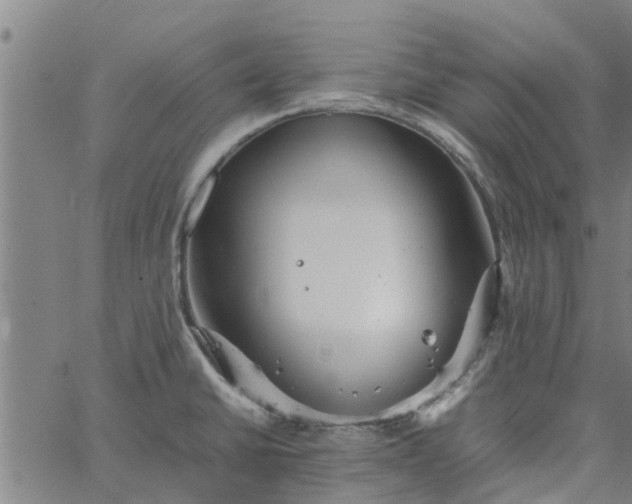 X0000065241430200603031727