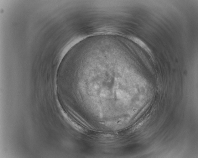 X0000065241431200603031727