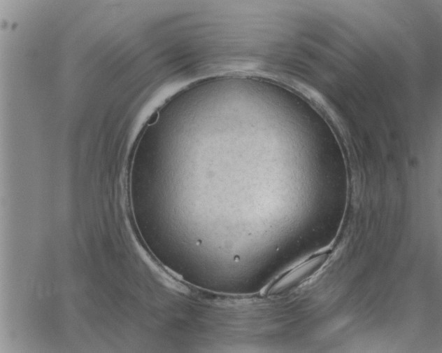 X0000065241432200603031727