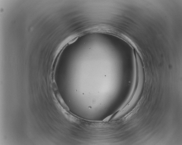 X0000065241434200603031727