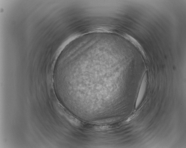 X0000065241435200603031727