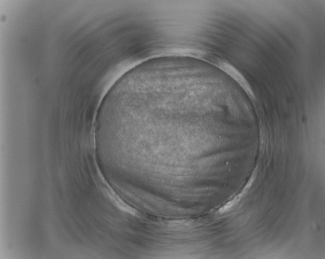 X0000065241436200603031727