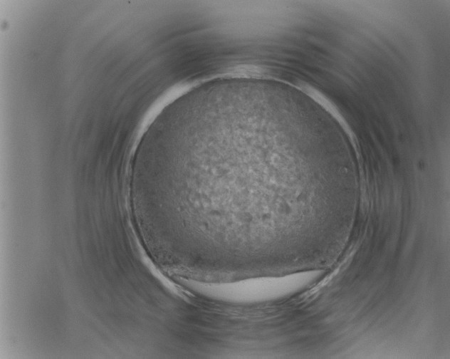 X0000065241437200603031727