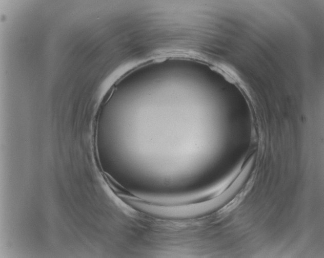 X0000065241438200603031727