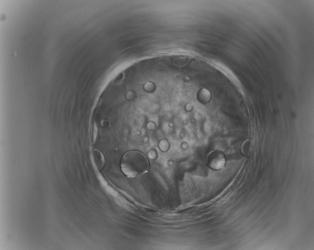 X0000065241439200603031727