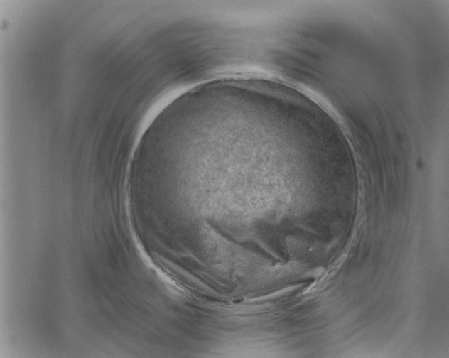 X0000065241440200603031727