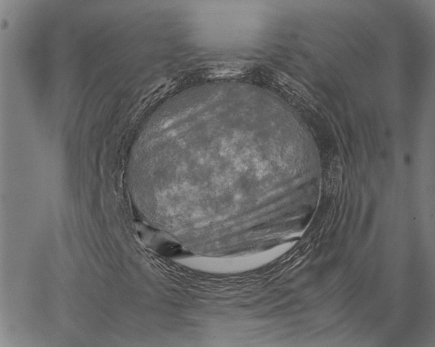 X0000065241441200603031726