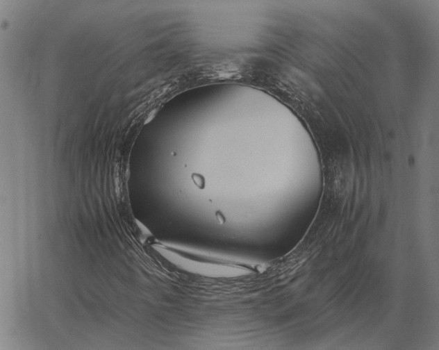 X0000065241442200603031726