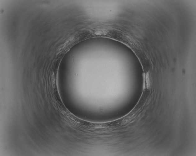 X0000065241443200603031726