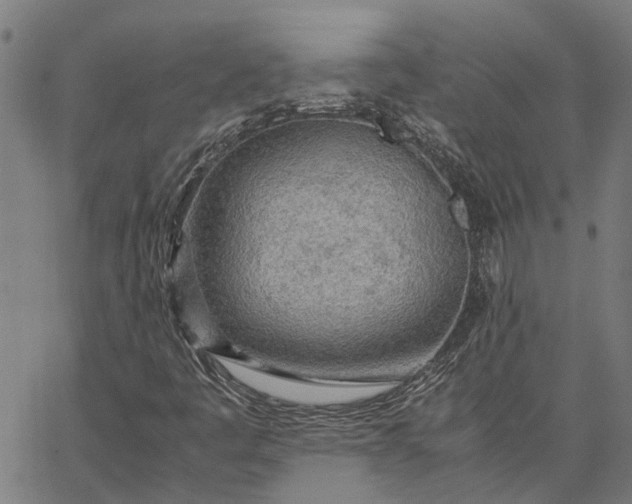 X0000065241445200603031726