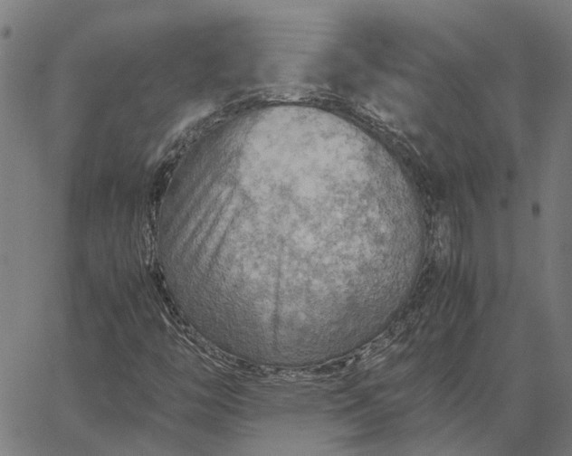 X0000065241446200603031726