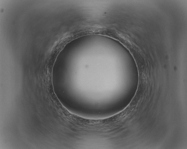 X0000065241447200603031726