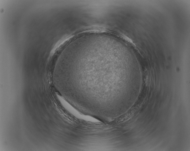 X0000065241448200603031726