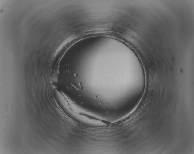 X0000065241450200603031726