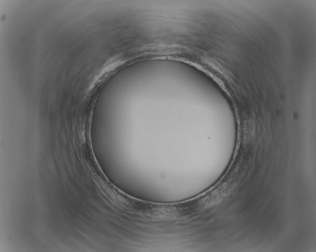 X0000065241451200603031726