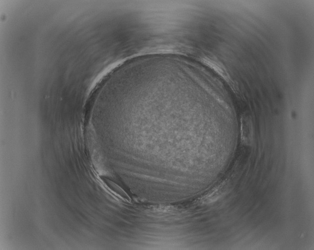 X0000065241452200603031726