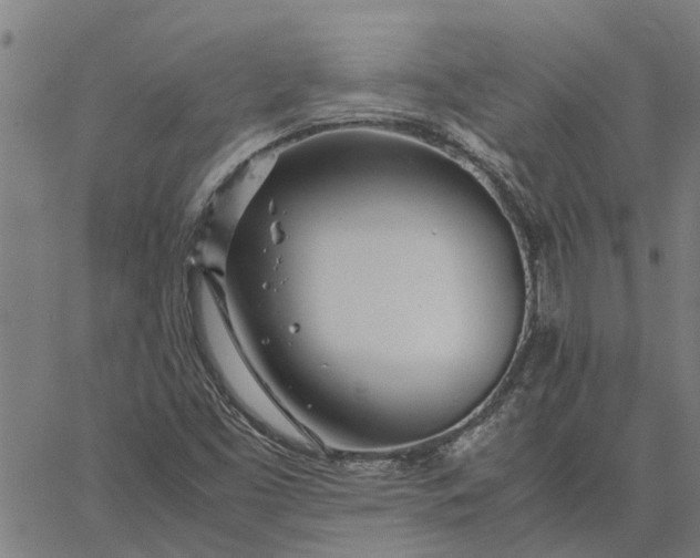 X0000065241453200603031726