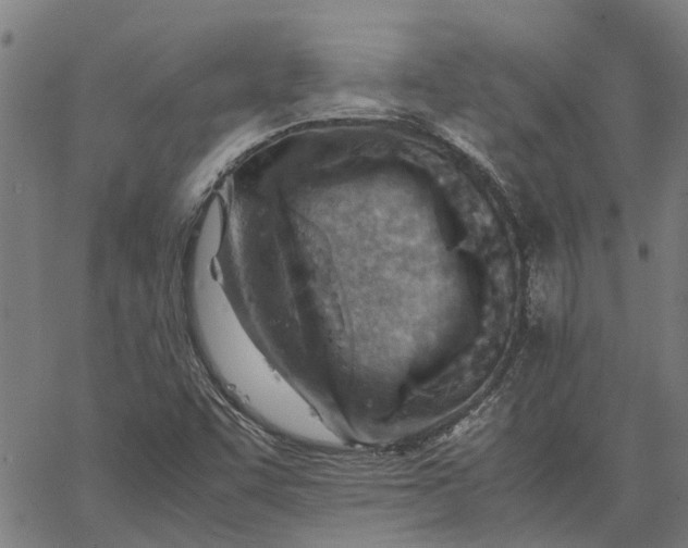 X0000065241455200603031726