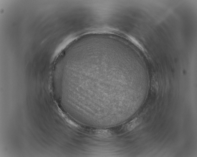 X0000065241456200603031726