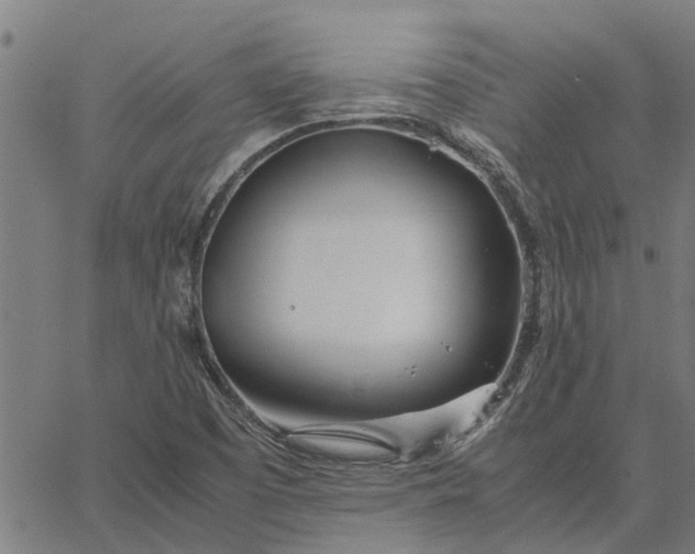 X0000065241457200603031726