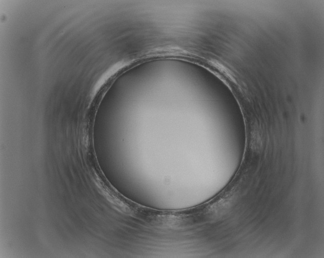 X0000065241458200603031726