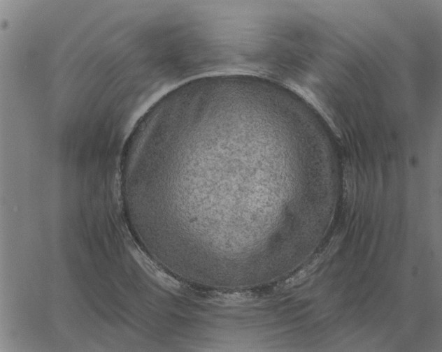 X0000065241460200603031726