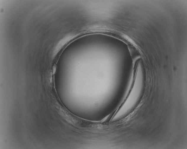 X0000065241461200603031726