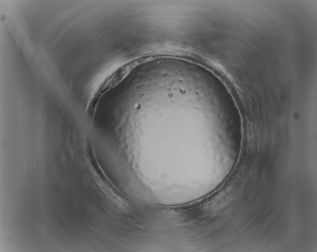 X0000065241463200603031726