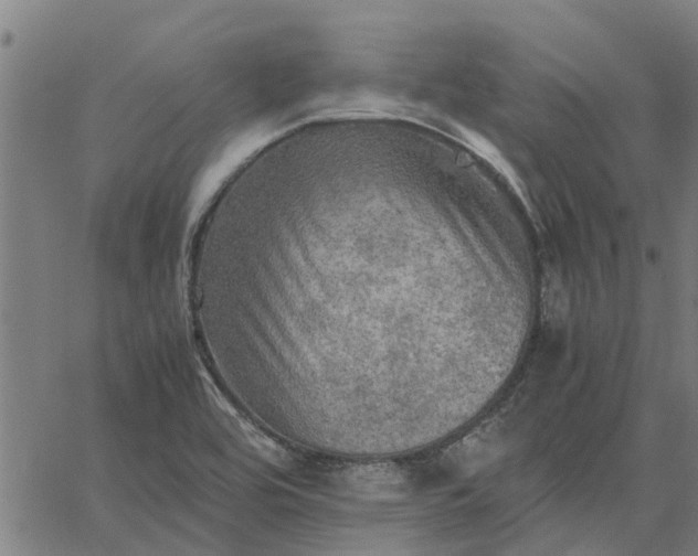 X0000065241464200603031726