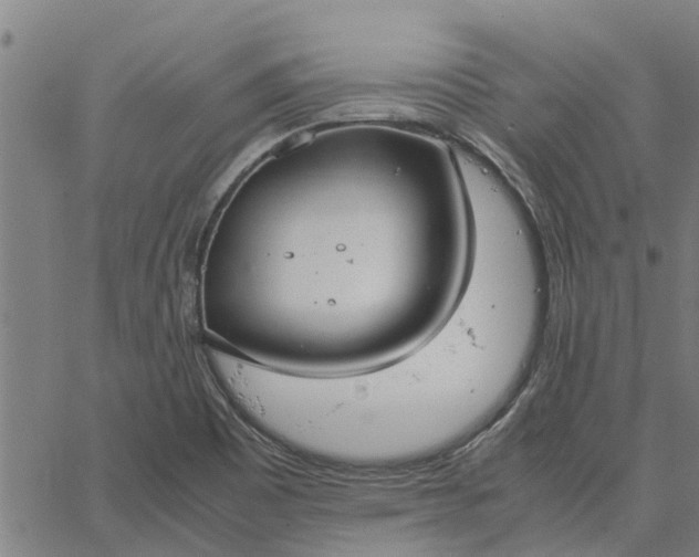 X0000065241465200603031726