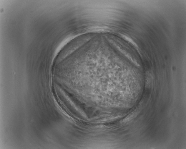 X0000065241467200603031726