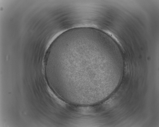 X0000065241468200603031726