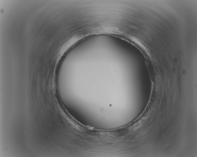 X0000065241469200603031726