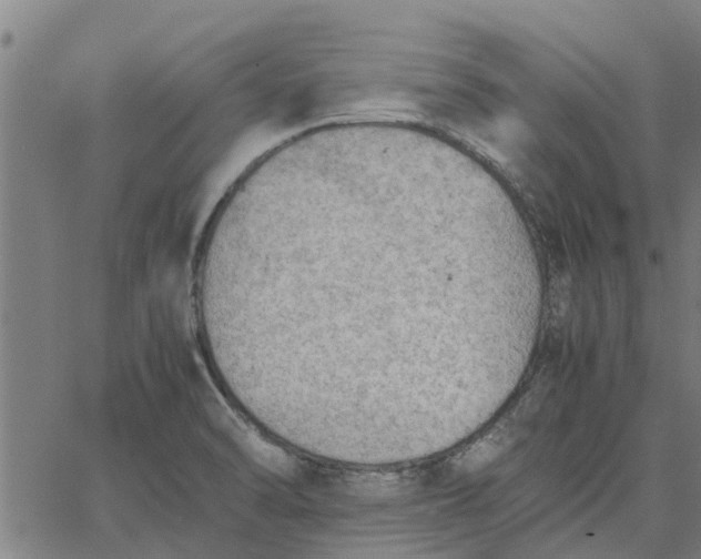 X0000065241470200603031726