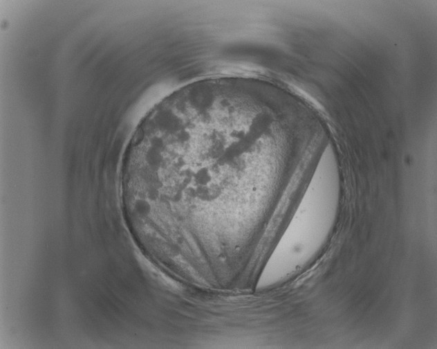 X0000065241471200603031726