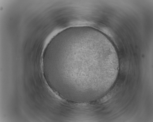 X0000065241472200603031726