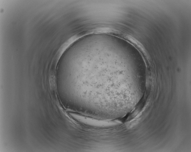 X0000065241473200603031726