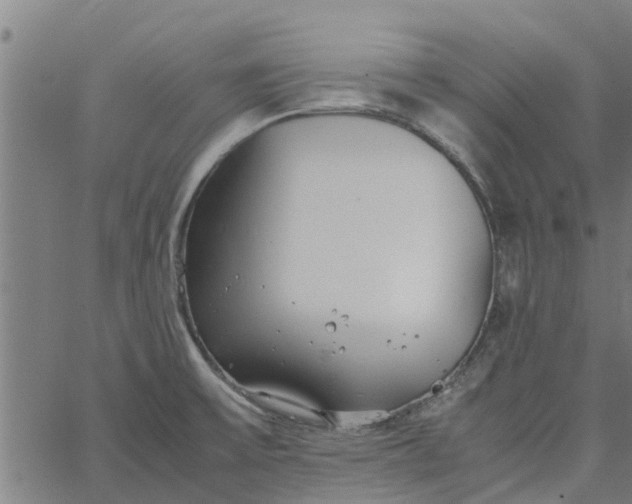 X0000065241475200603031726