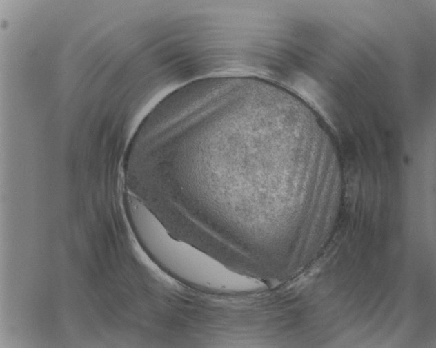 X0000065241476200603031726