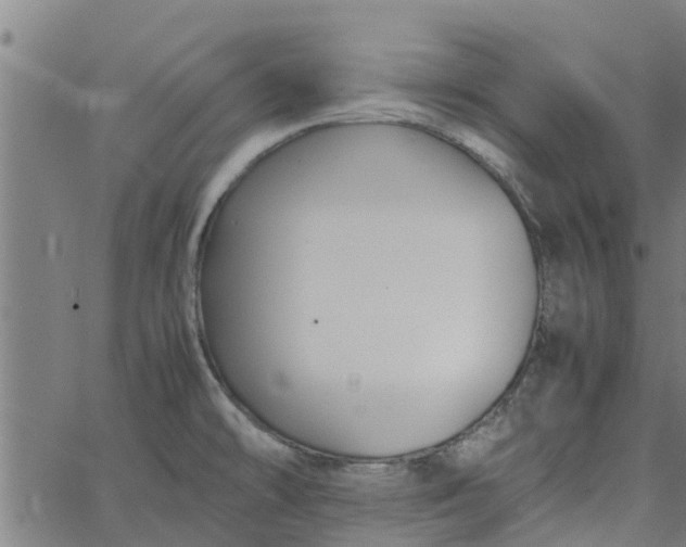 X0000065241478200603031726