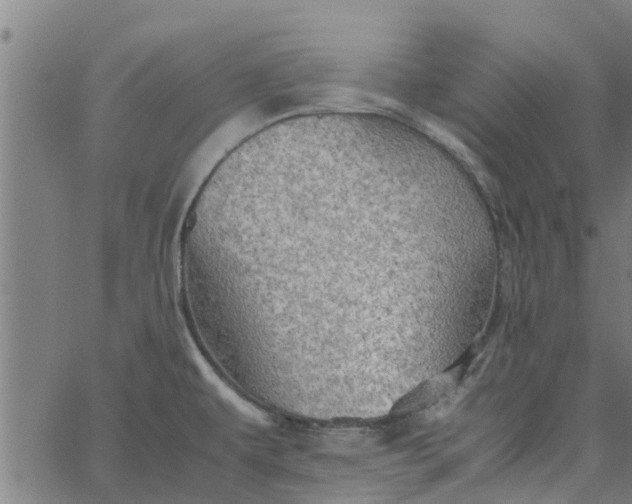 X0000065241479200603031726